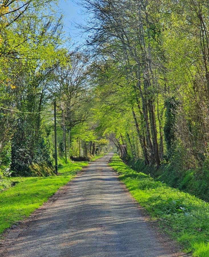 Le Clos Joly 14 Saint-Gâtien-des-Bois Exteriör bild