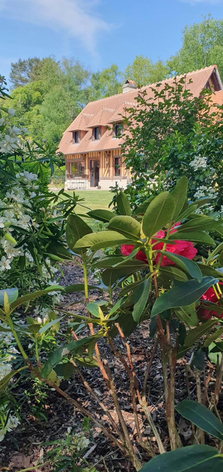 Le Clos Joly 14 Saint-Gâtien-des-Bois Exteriör bild